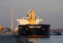 Der Hafen Gent, der jetzt zur neu gegründeten Hafengruppe North Sea Port gehört, hat 2017 einen Umschlagrekord erzielt