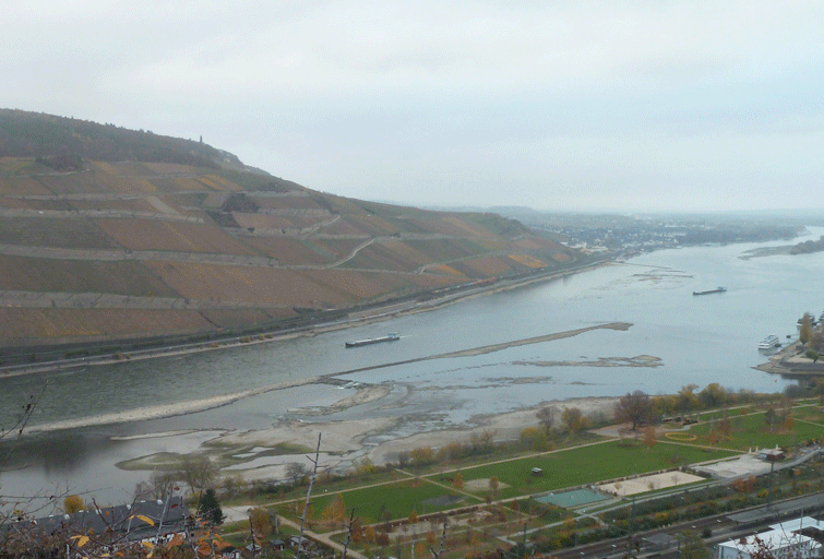 Niedrigwasser am Rhein bei Bingen