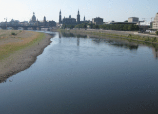 Da der Wasserstand auf der Elbe bei Dresden zu niedrig ist, wurde die Schifffahrt eingestellt