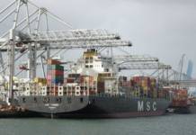 Das ECT Delta Terminal in Rotterdam wird verstärkt von Schiffen der Reederei MSC angelaufen