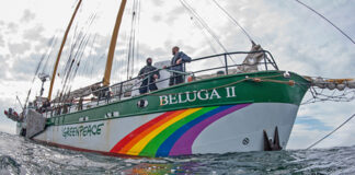 Greenpeace, Beluga II
