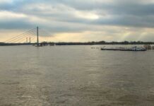 Rhein, Hochwasser