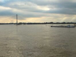 Rhein, Hochwasser