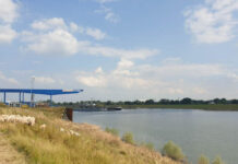 GS-Recycling, Wesel, Hafen