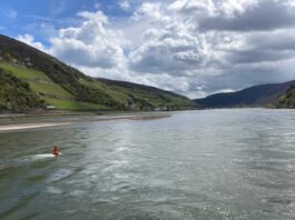 Rhein, Niedrigwasser, Mittelrheintal, Pegel Kaub, Mittelrhein