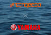 Torqeedo / Yamaha