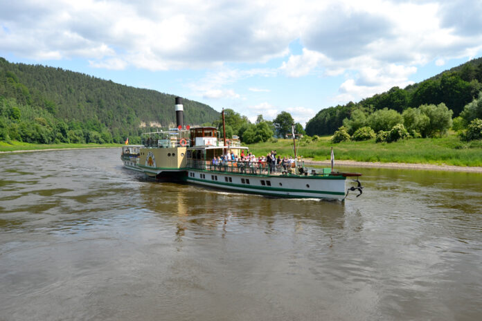 Elbe, Raddampfer, Weiße Flotte Sachsen